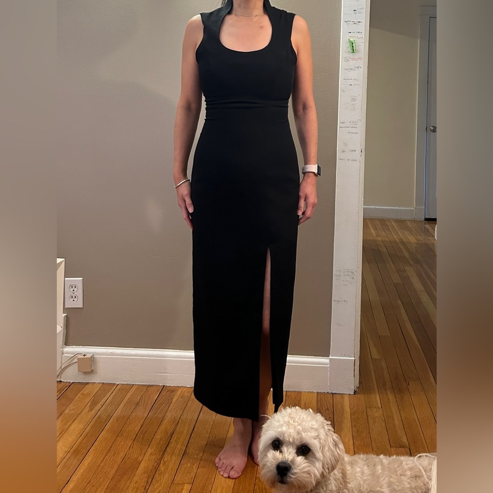 Banu Paris Dress